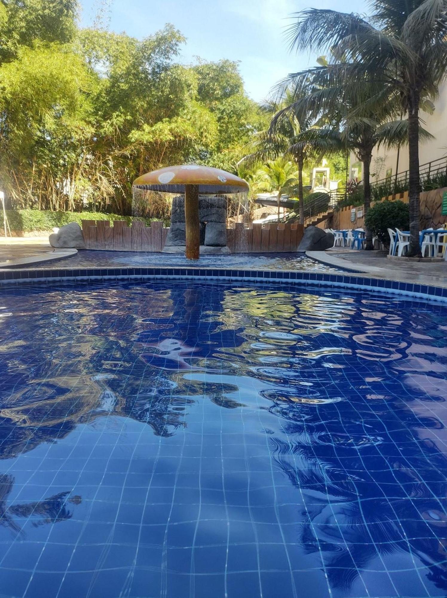 Golden Dolphin Roberto Imóveis